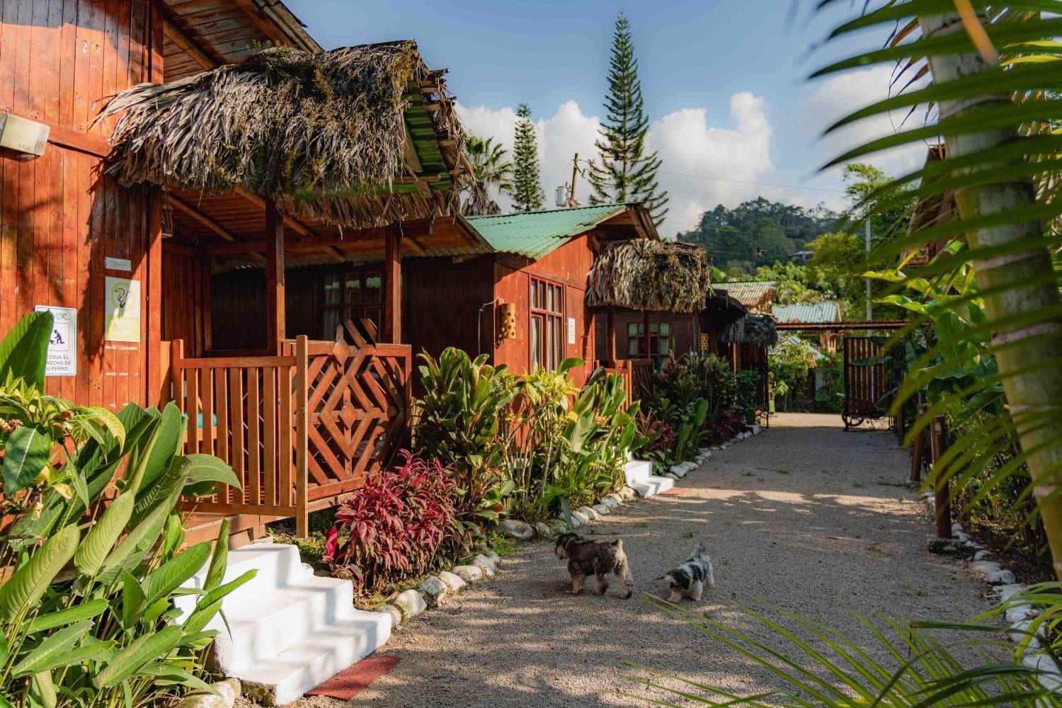 Mindo Glambird Glamping & Lodge Dış mekan fotoğraf