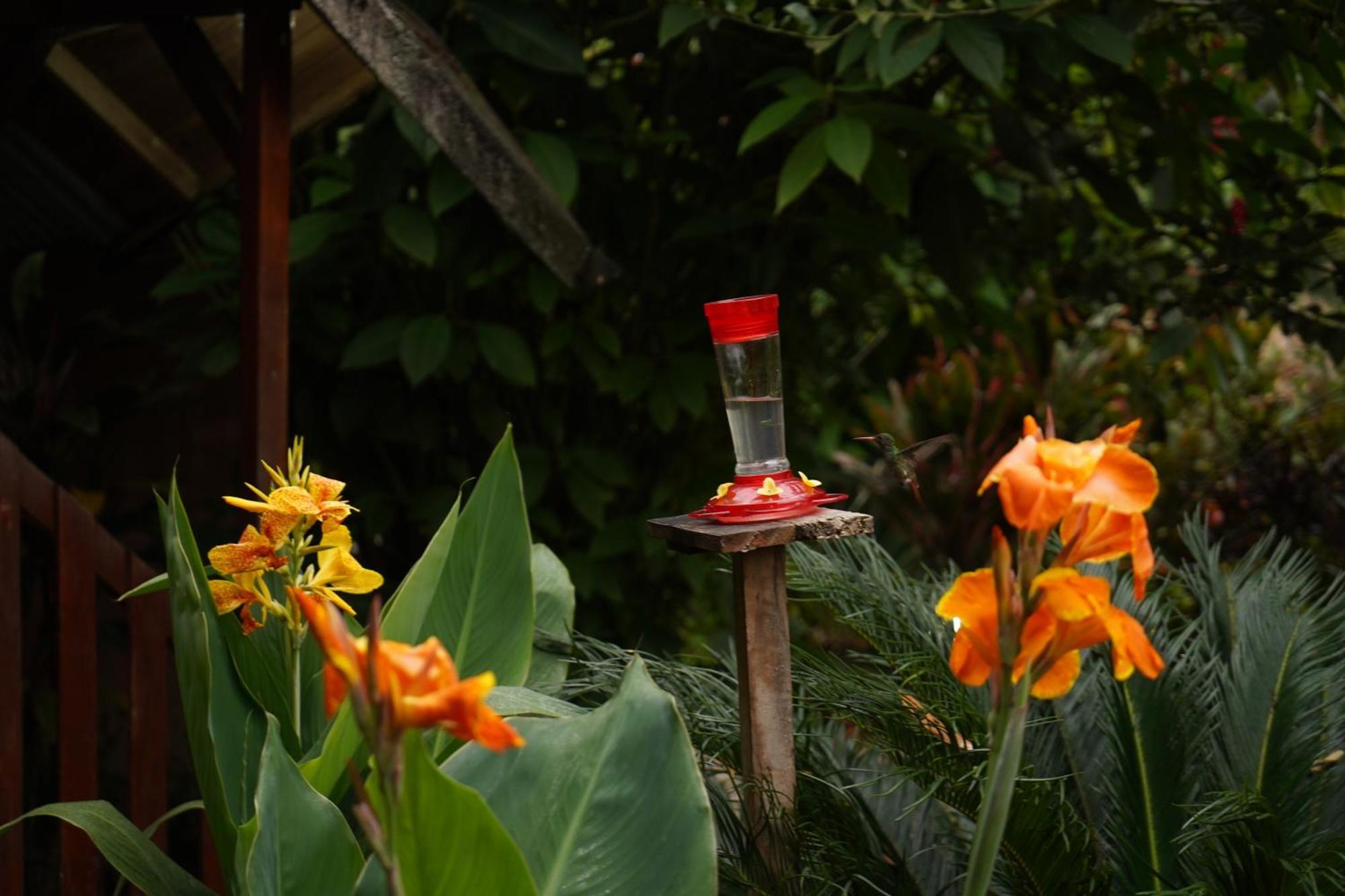 Mindo Glambird Glamping & Lodge Dış mekan fotoğraf