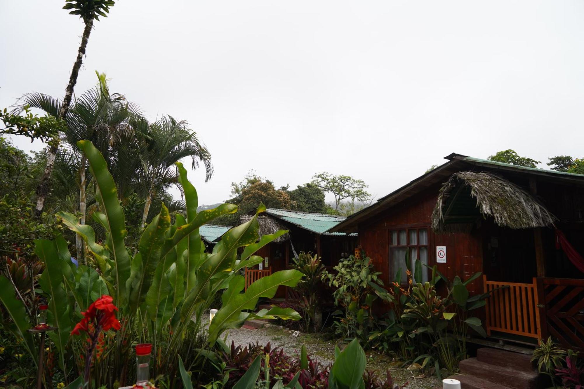 Mindo Glambird Glamping & Lodge Dış mekan fotoğraf