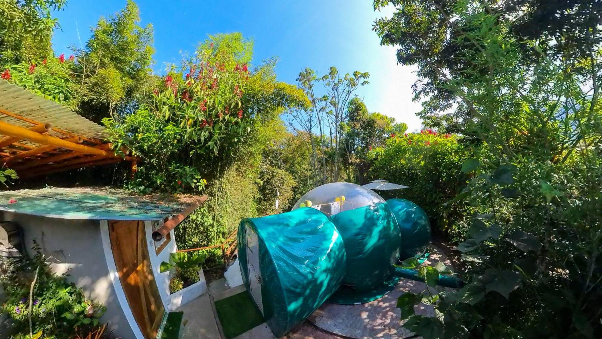 Mindo Glambird Glamping & Lodge Dış mekan fotoğraf